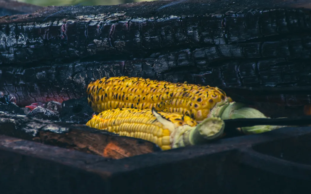 Mảnh ghép ký ức: Cầu nối giữa Ấn Độ và New Zealand 2 Bhanu's husband grills coal-charred corn as she shares her story.