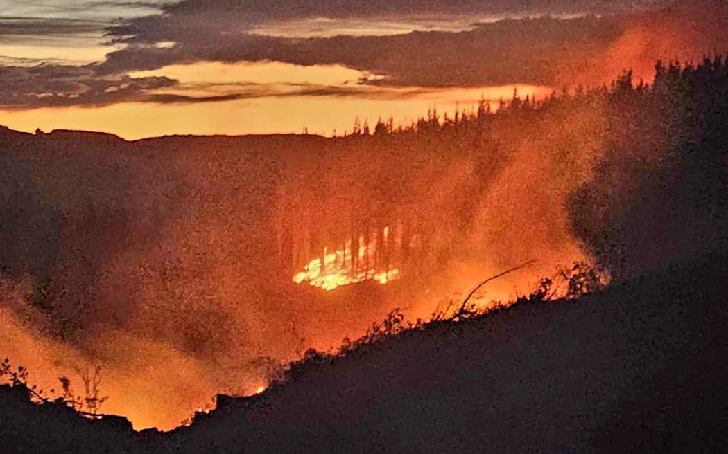 'Thảm họa đang chờ đợi': Lo ngại canh tác carbon làm tăng nguy cơ cháy rừng 7 It could take days to extinguish a wildfire burning in a Canterbury pine forest, Fire and Emergency says. Fire crews have been fighting the blaze near Waipara in the Hurunui district since being alerted to it on Thursday night.