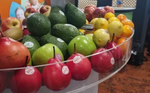 Horticulture conference