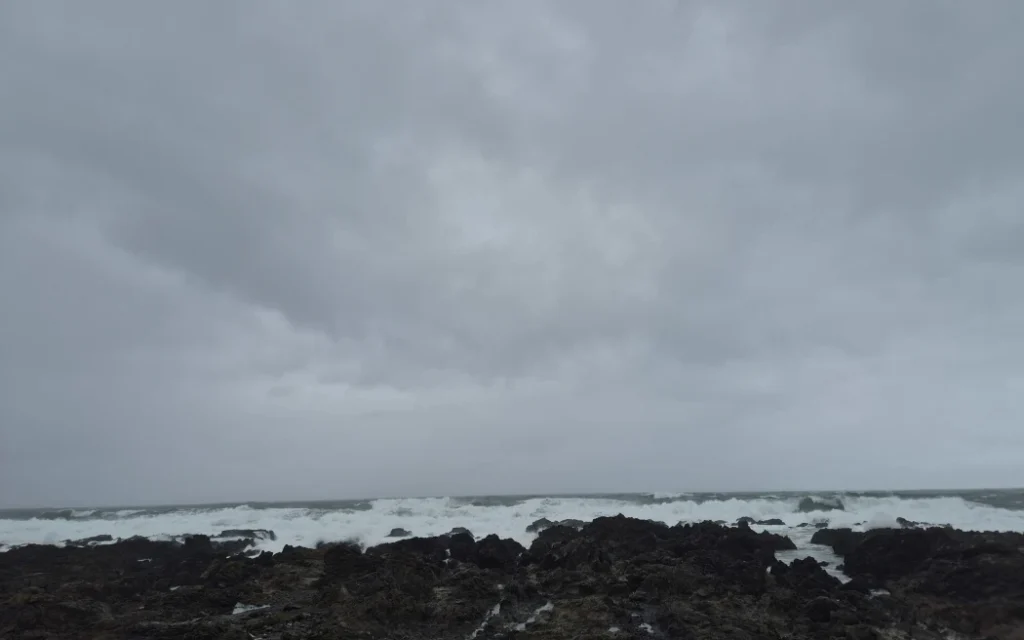 Wellington's south coast (Island Bay & Owhiro Bay)