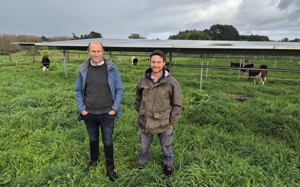 Trang trại Auckland tăng lợi nhuận nhờ mô hình độc đáo 7 Lightyears Solar co-founder and head of development Matt Shanks and farmer Nigel Upchurch.