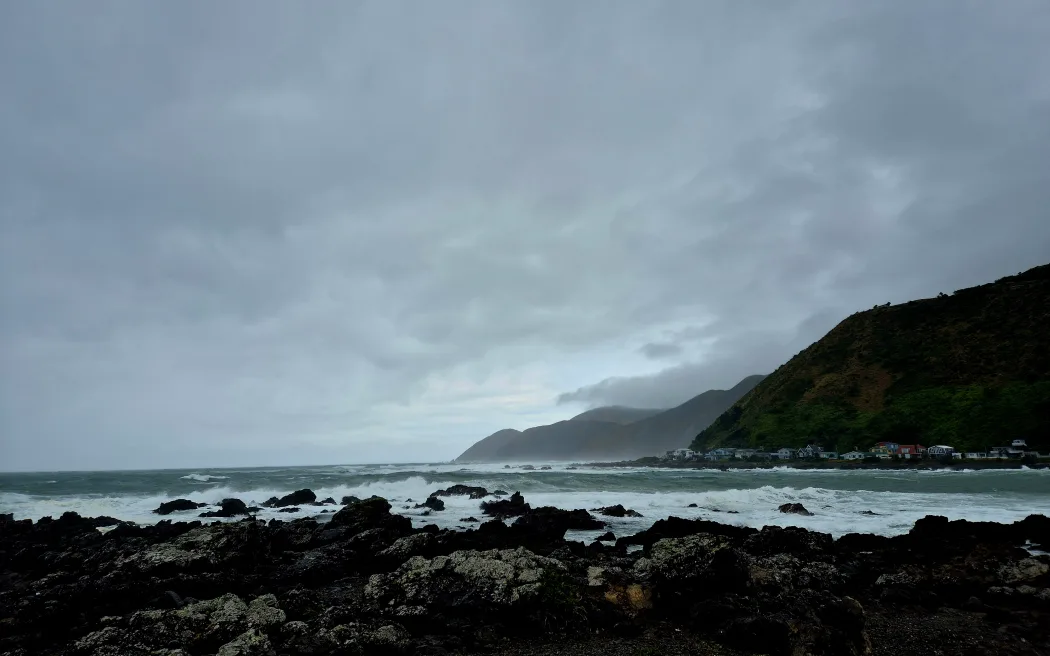 Wellington's south coast (Island Bay & Owhiro Bay)