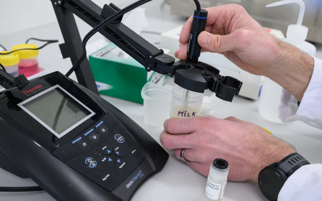 Barley milk and yoghurt testing