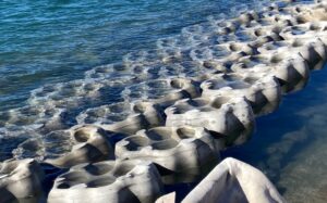 Three lines of artificial flower-shaped rocks where the "petals" are dips in the rock that can fill with water, lined up alongside the blue ocean.