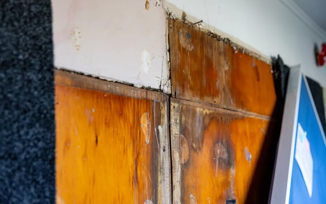 The photo shows the section of a water damaged wall in a classroom at Te Pā o Rākaihautū, a Christchurch based school. The wood on the wall seems to be moldy with water stains with parts of it crumbling away.