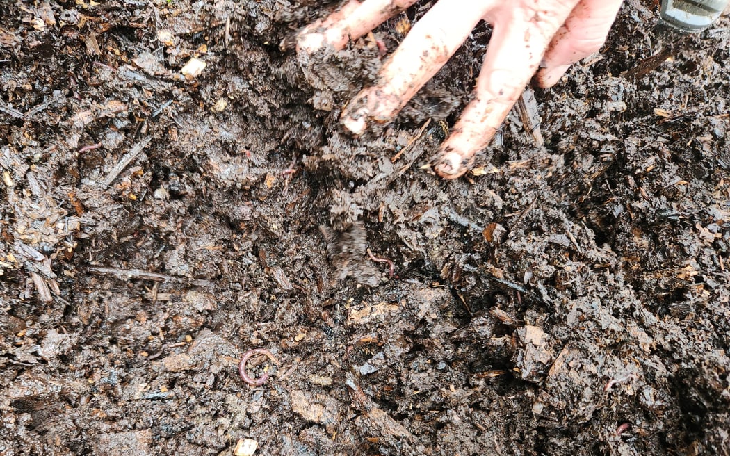 Stephen experiments with several ways of composting, 