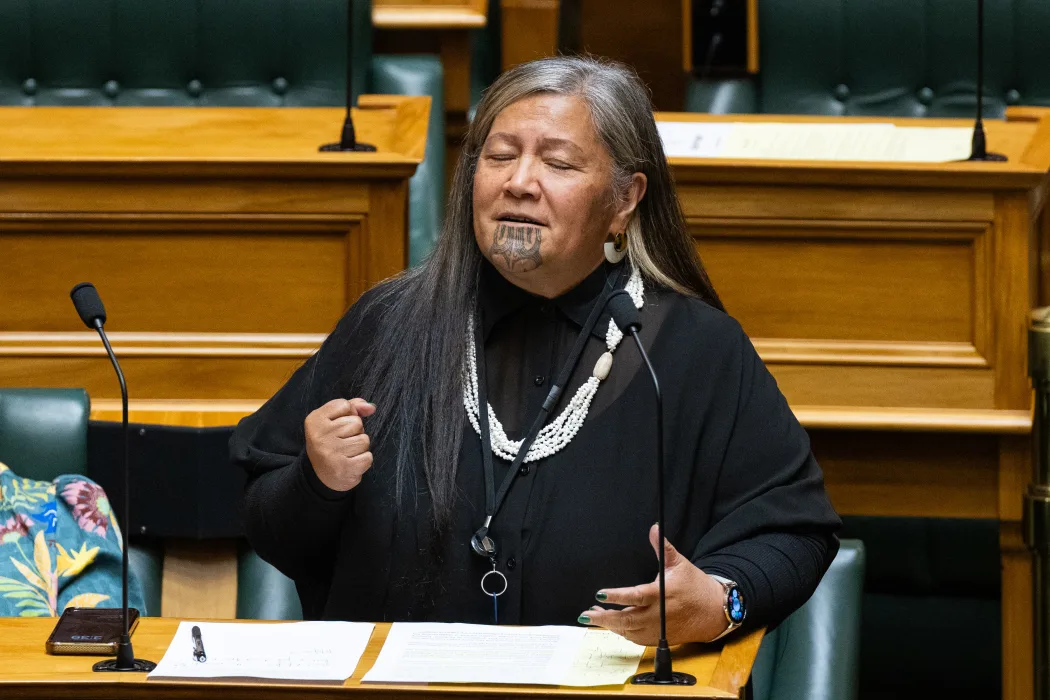 Te Pāti Māori MP, Mariameno Kapa-Kingi speaking in the House.