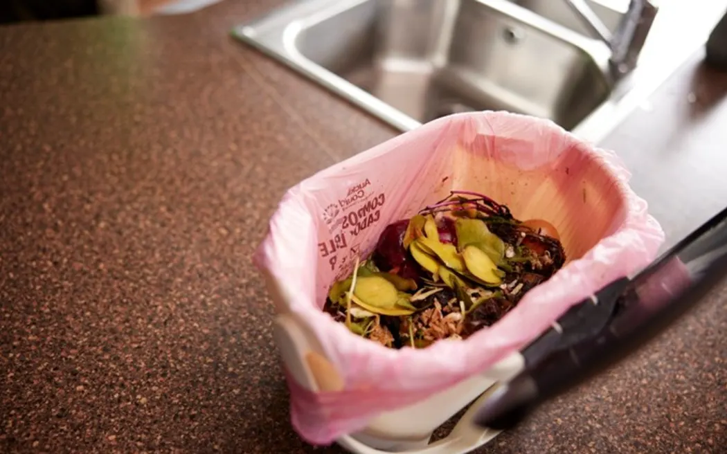 Luật khí hậu 'đột phá' của Jacinda Ardern giờ chỉ còn là 'cái vỏ rỗng' 6 Pacific families are yet to fully embrace food scrap recycling, highlighting the need for greater engagement to showcase its value and importance