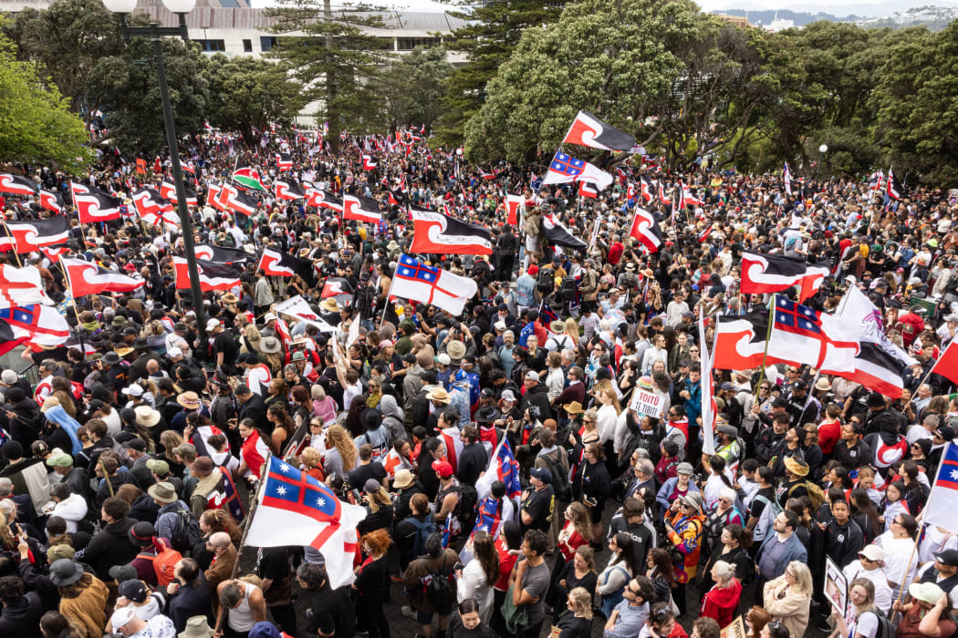 The hikoi against the Principles of the Treaty of Waitangi Bill reaches Parliament.