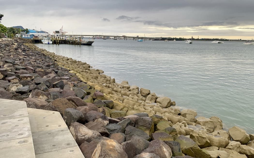 Bức tường biển sống ở Tauranga: Một thế giới đang thay đổi 3 A coastal seawall lined with large dark rocks and tiered concrete structures designed to support marine life. The sky is overcast, and boats are moored in the harbor near a pier and industrial buildings in the distance.