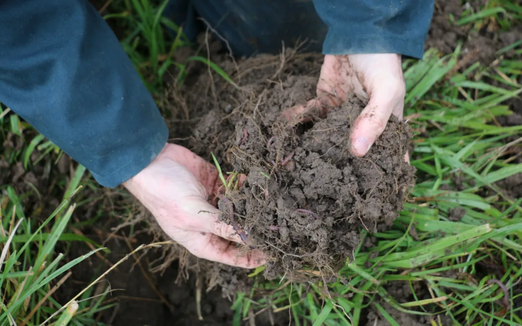 Chăn nuôi bò sữa tái tạo: Hội thảo xuyên Tasman mở ra hướng đi bền vững 9 Regenerative farming in South Otago