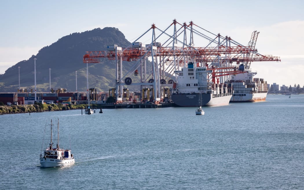Cảng Tauranga lãi lớn nhưng lãnh đạo 'phát cáu' vì tắc nghẽn mở rộng 2 Port of Tauranga