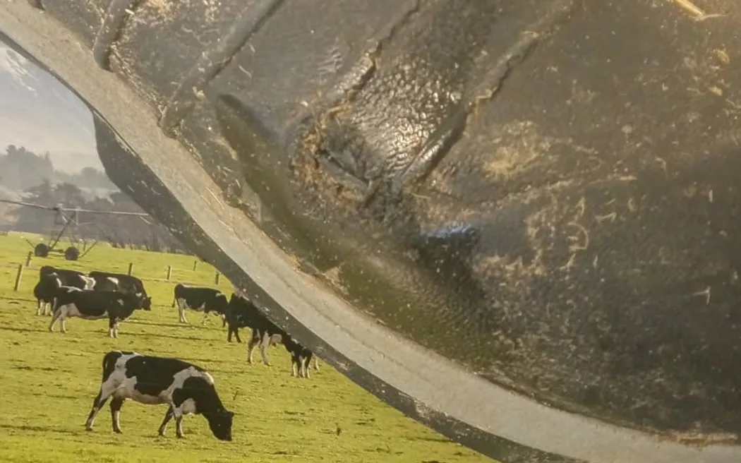 Ai dễ bị sét đánh trúng nhất? Nông dân và nam giới có nguy cơ cao hơn hẳn 2 A close-up picture of Chris Wilson's gumboot which was damaged by lightning with the farm in the background.