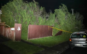 Tree has come down on a property in Glen Marine Parade in Glendene
