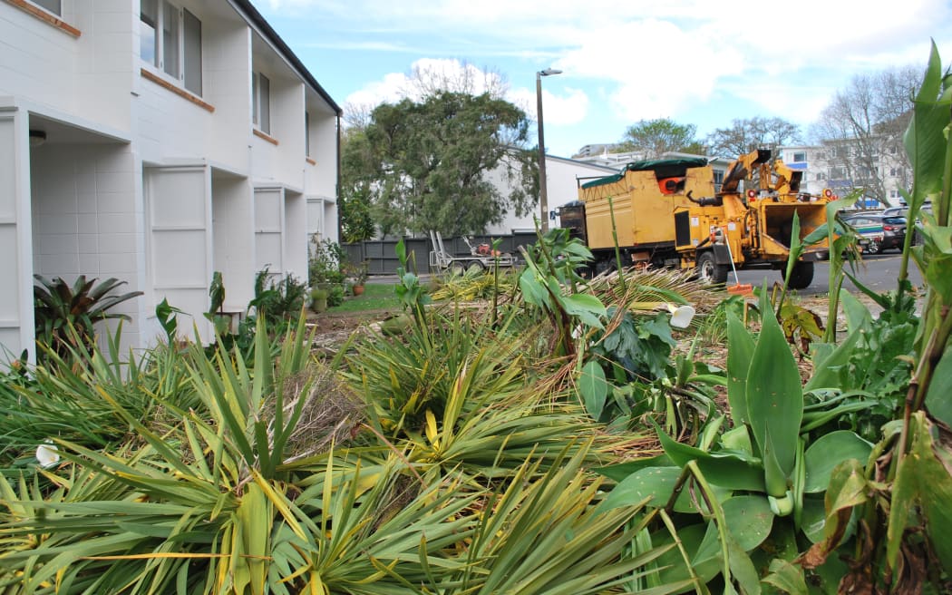A mulcher at the site where some trees at an Auckland housing complex were removed.