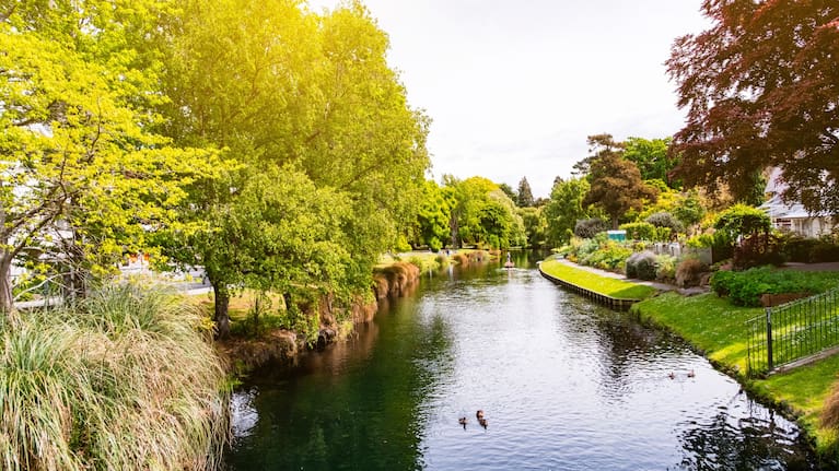 Tranh cãi nảy lửa về thuế và giao thông trong cuộc đối đầu tranh cử Thị trưởng Christchurch 4 Avon River in Christchurch.