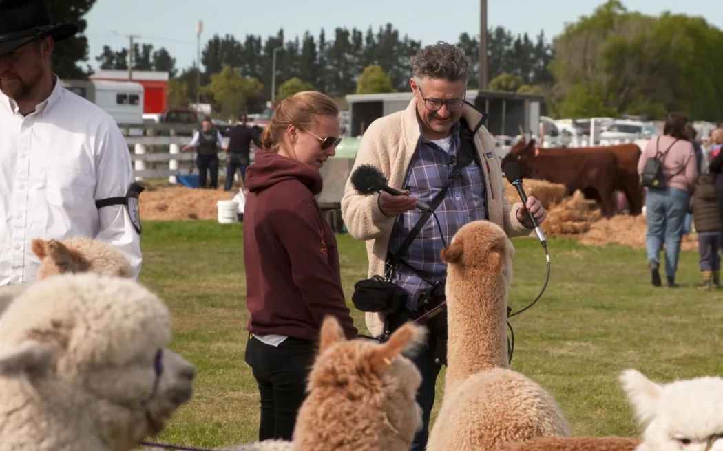 Cosmo Kentish-Barnes with two microphones recording an interview in front of a group of llamas