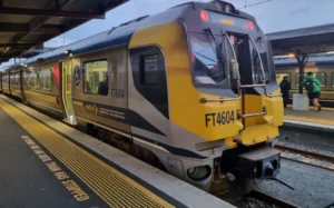 Trains at Wellington Station are suspended after a mass signal fault.