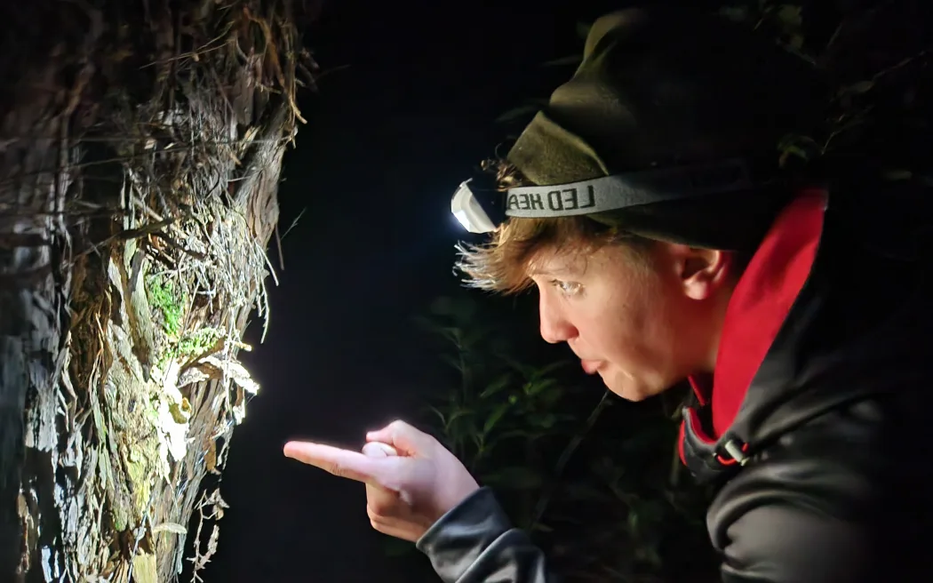 Jack Karetai-Barrett, volunteer guide with the Whakatāne Kiwi Trust