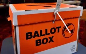 A man casts his vote in the 2014 General Election (file photo)