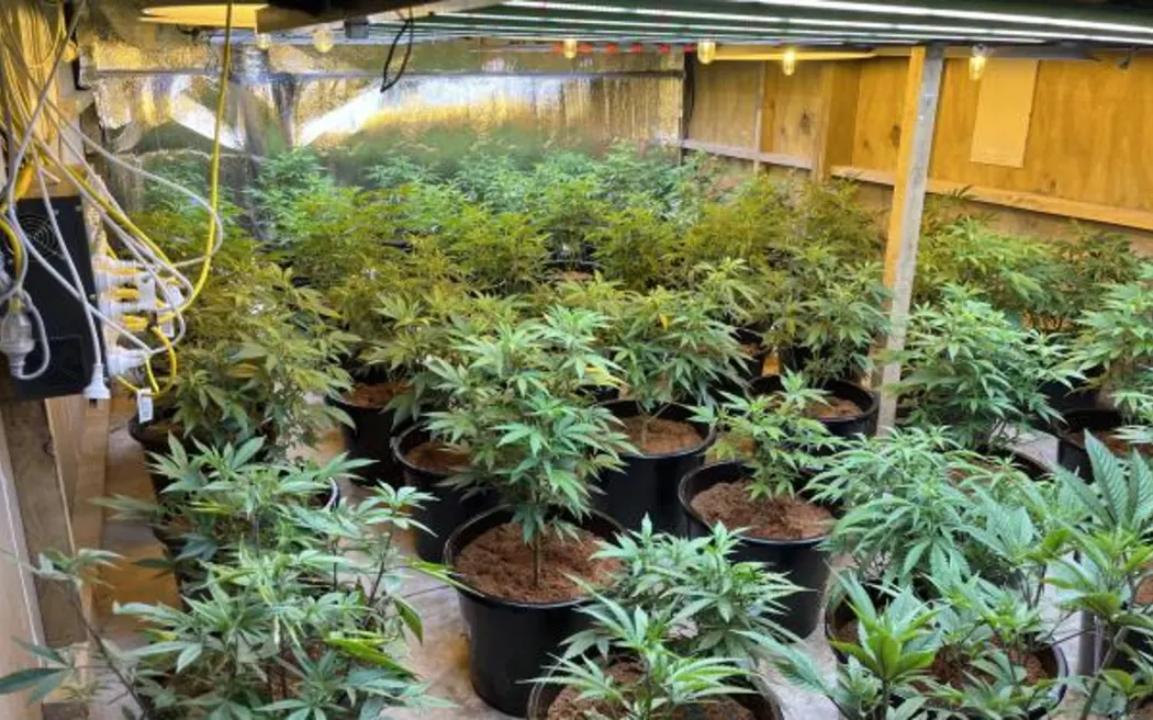 Cannabis grow house shut down by police.
