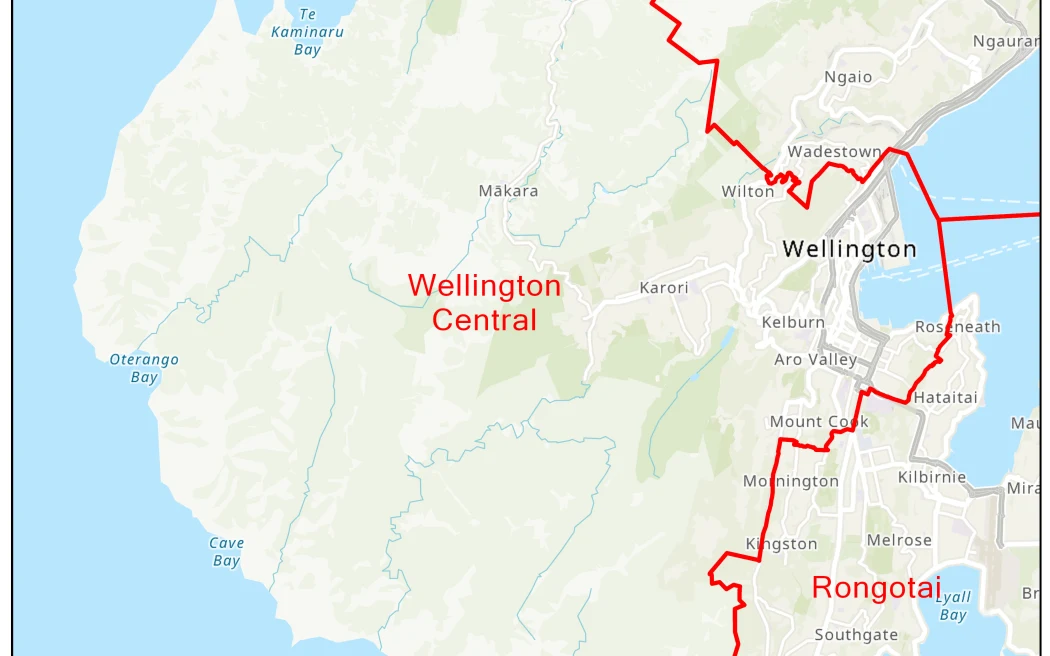 Chuyện nhà Quốc hội: Dân biểu địa phương - Cầu nối nghị trường và cử tri 2 Wellington Central electorate