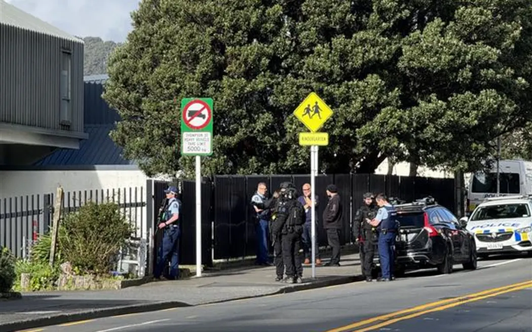 Armed officers at scene in central Wellington - Webb St