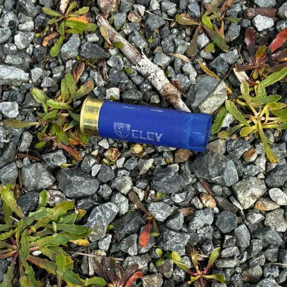 several shotgun casings were found near "Trời đất ơi!": Ứng viên đảng ACT bàng hoàng vì biển quảng cáo bị bắn phá