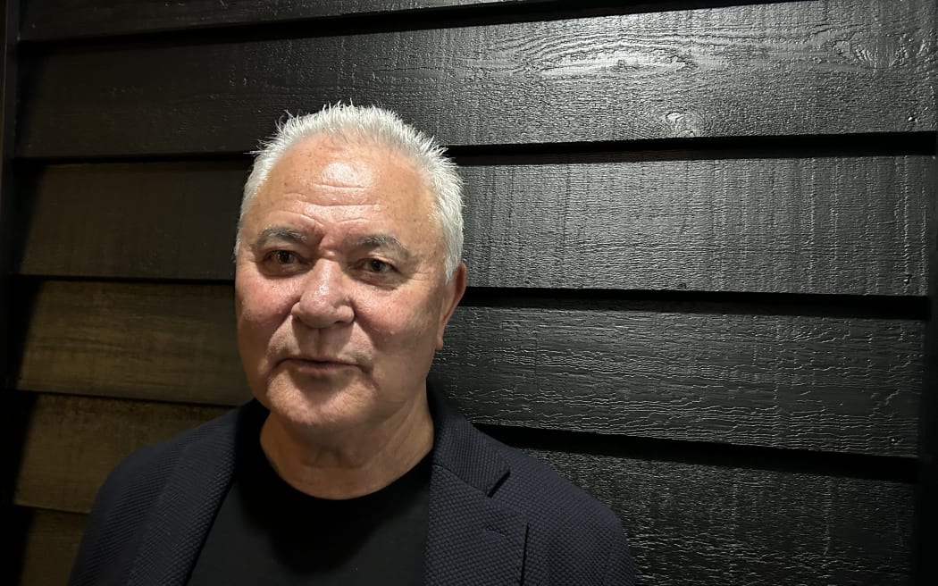 Te Pāti Māori President John Tamihere.