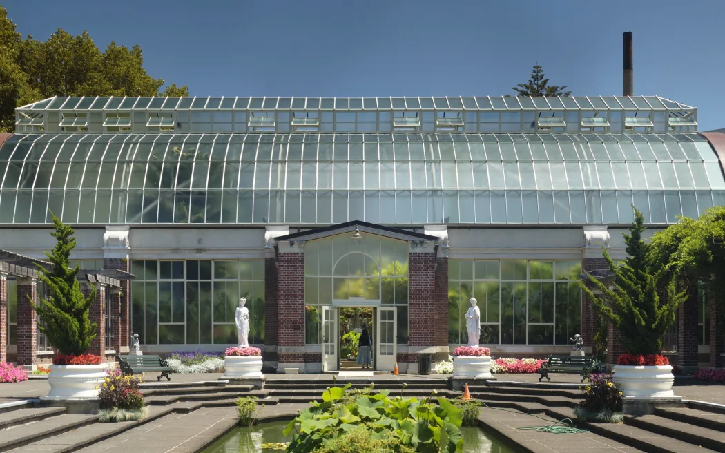 The Auckland Wintergarden in Auckland Domain.