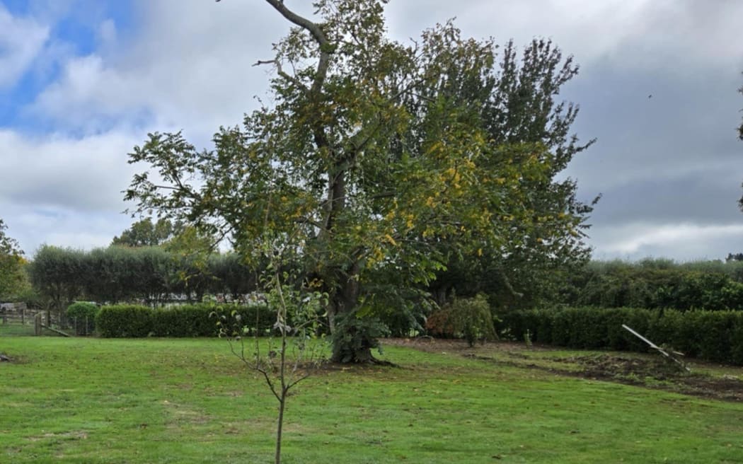The back yard where Mike and Karen Sanson want to build a cottage for Karen's 85-year-old father.
