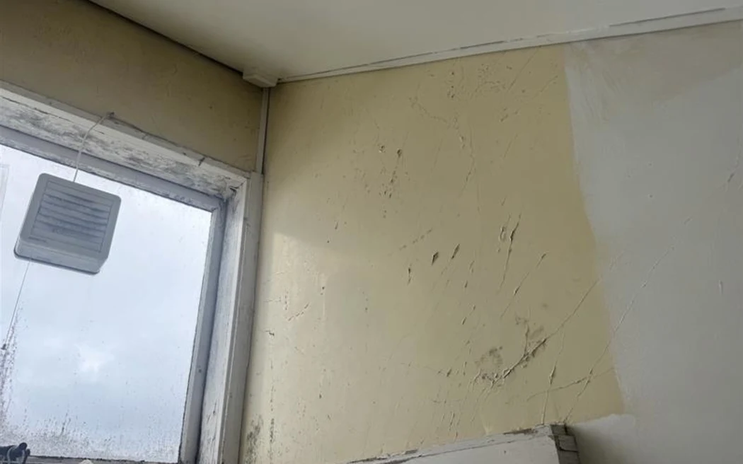 The rental passed Healthy Homes Standards compliance, but the student said it wasn't worth the paper it was written on.