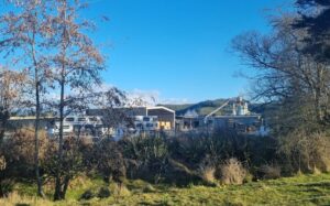 Eves Valley Sawmill company management says it plans to shut the plant near Nelson with the potential loss of 142 jobs.