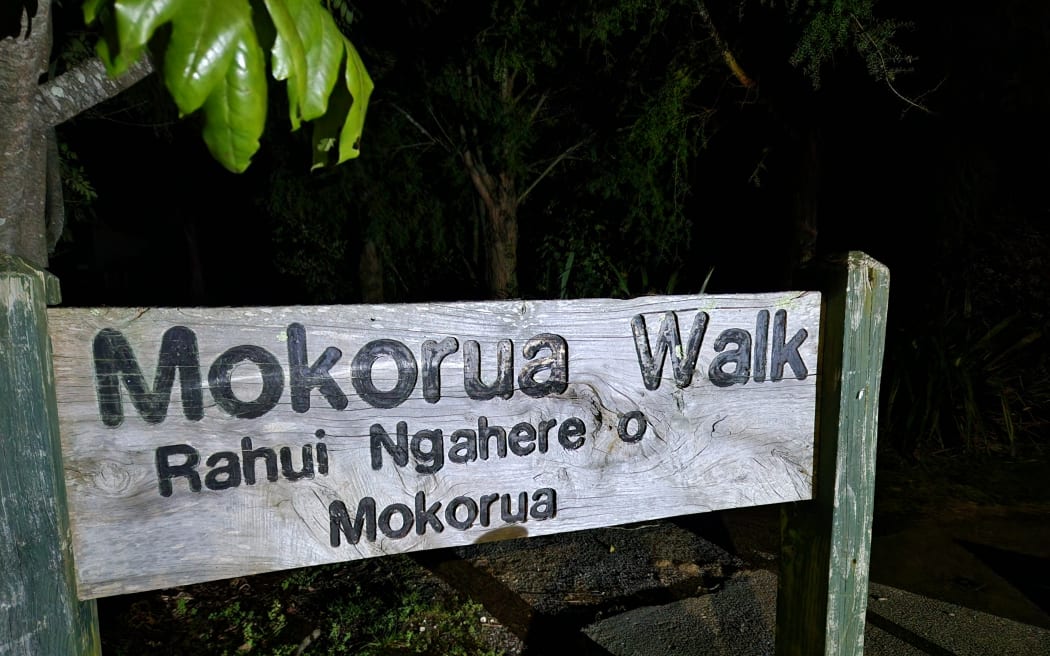 Thiếu niên 15 tuổi 'đa năng' trên hành trình bảo tồn thiên nhiên 6 The start of the Mokorua Walk on the outskirts of Whakatāne