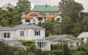 RNZ/Reece Baker