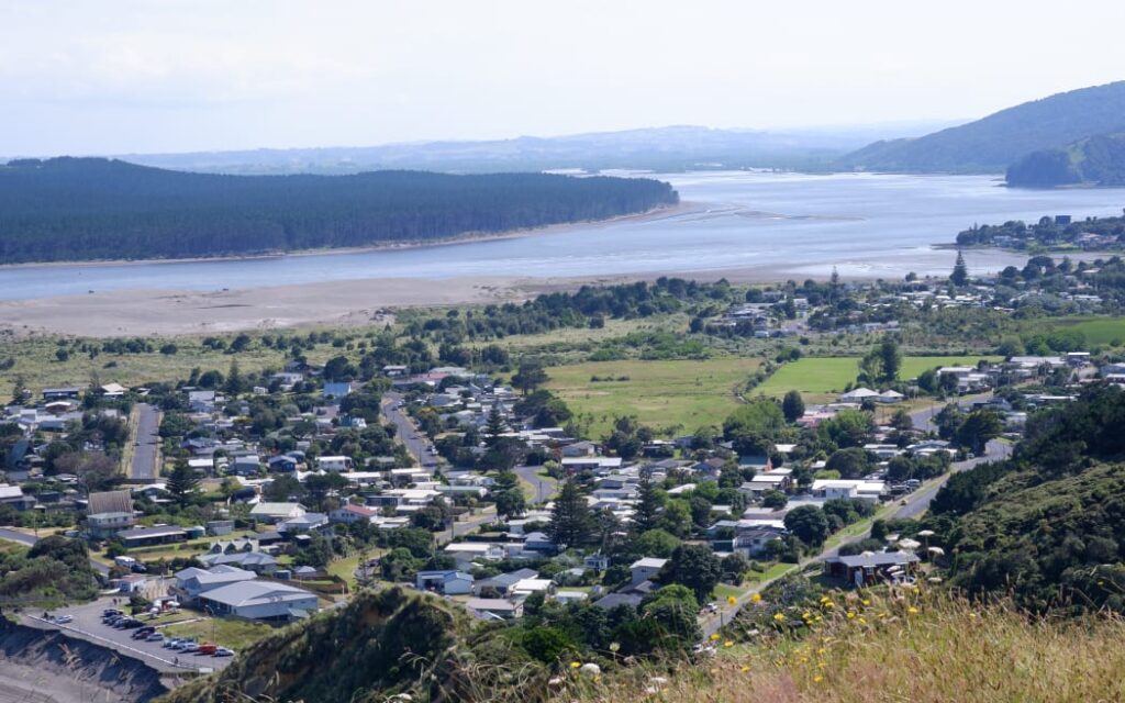 A view of Port Waikato
