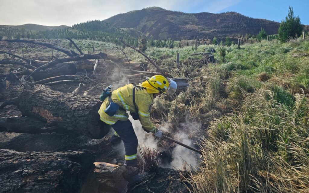 Cư dân Pōrangahau kêu gọi sửa luật lâm nghiệp sau vụ cháy lớn 1 A huge forestry fire near the Central Hawke's Bay village of Pōrangahau last week took days to extinguish.