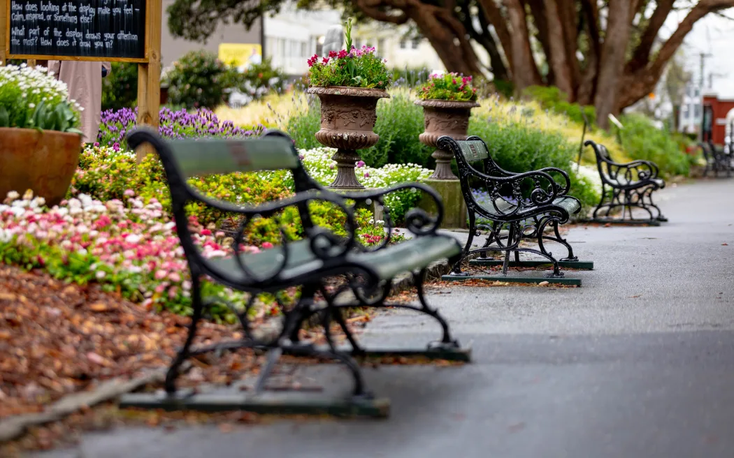 What goes into the planning for Wellington Botanic Garden