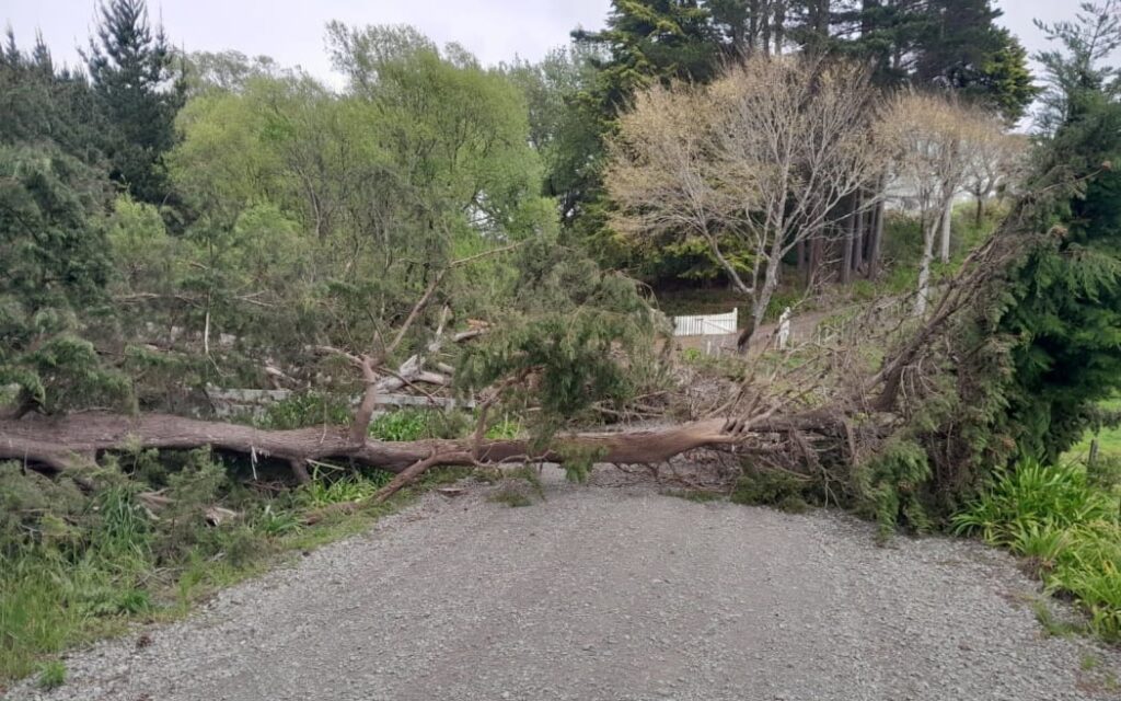 Manawatū-Whanganui Tăng Cường Lực Lượng Ứng Phó Thời Tiết Bão Giá Sắp Tới 1 A strong wind warning is in place in Tararua district for severe gales gusting to 120km per hour.