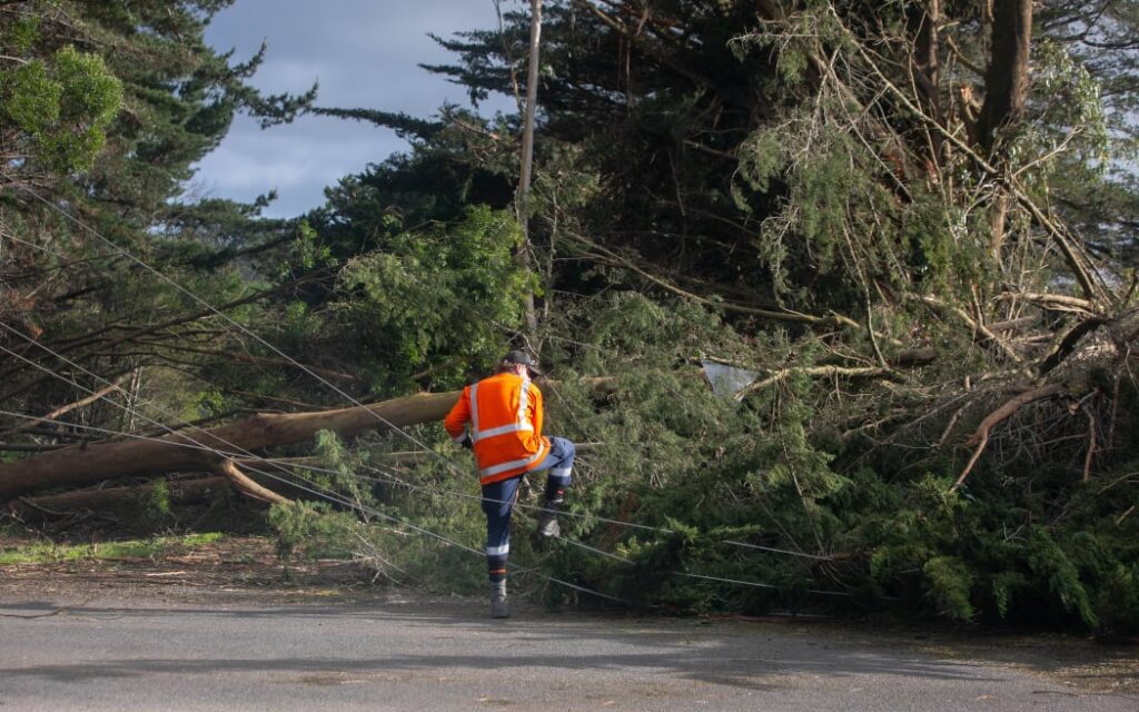 Eketahuna tan hoang sau bão dữ: Người dân 'thót tim' kiểm đếm thiệt hại 1 Trees down in Eketahuna. Weather.