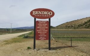 The lower slopes of Bendigo Station have been transformed into a new wine producing area.