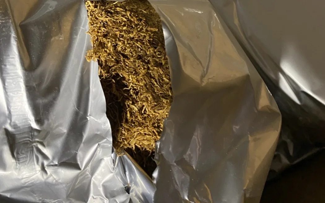 Đột kích Auckland: Phát hiện hơn 1,2 tấn thuốc lá lậu và nhà trồng cần sa 2 Investigators found an estimated 1,200 kilograms of loose tobacco in a storage unit during search warrants in Auckland on October 22.
