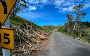 Power lines down in Riversdale in Wairarapa