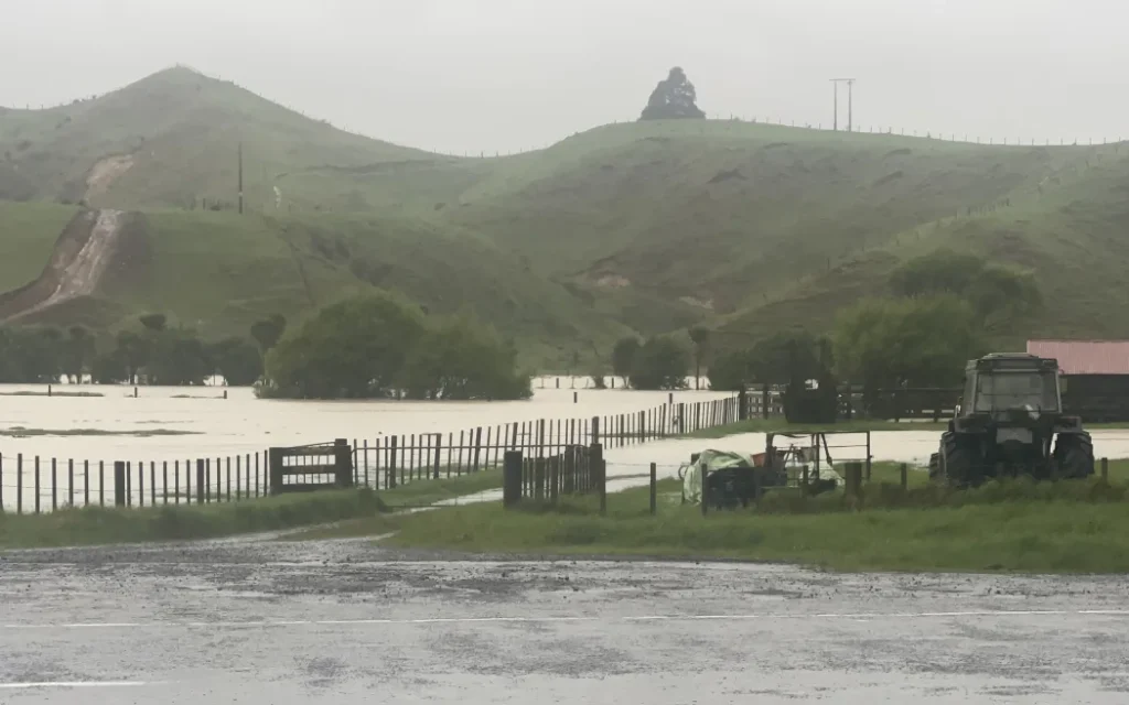 Flooding on farmland at the base of the Awakino Gorge on Tuesday 14 October 2025.