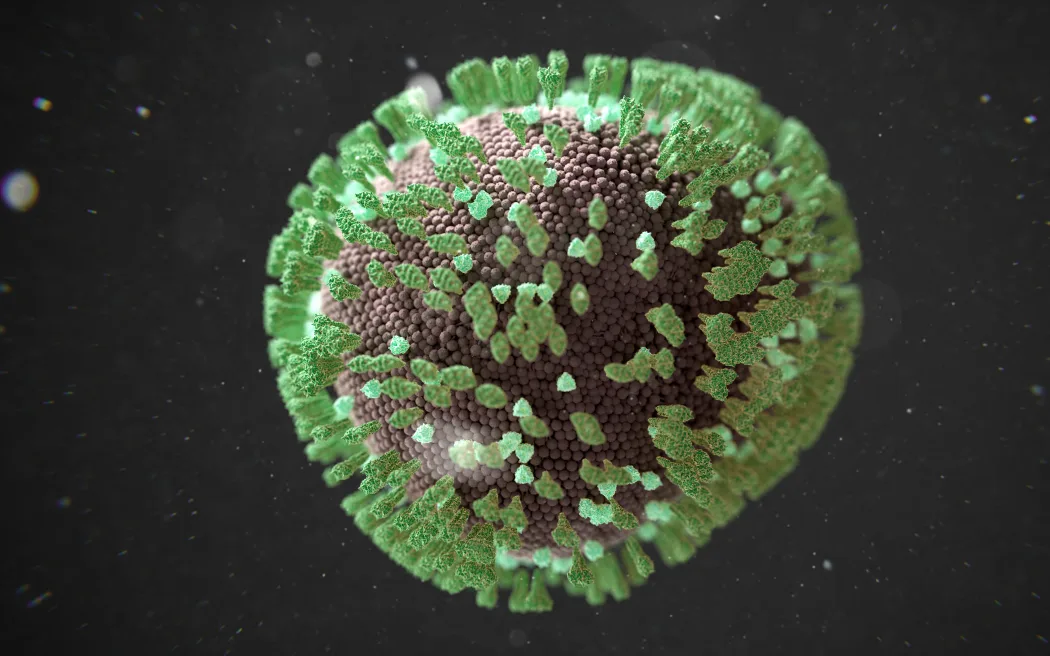 Illustration of a measles virus, a highly contagious pathogen responsible for measles infections. (Photo by THOM LEACH / SCIENCE PHOTO LIBRA / TLE / Science Photo Library via AFP)