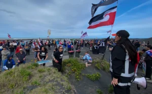 Mana whenua expect to have a say about the impact of seabed mining on the environment and their cultural interests, says the expert panel convener.