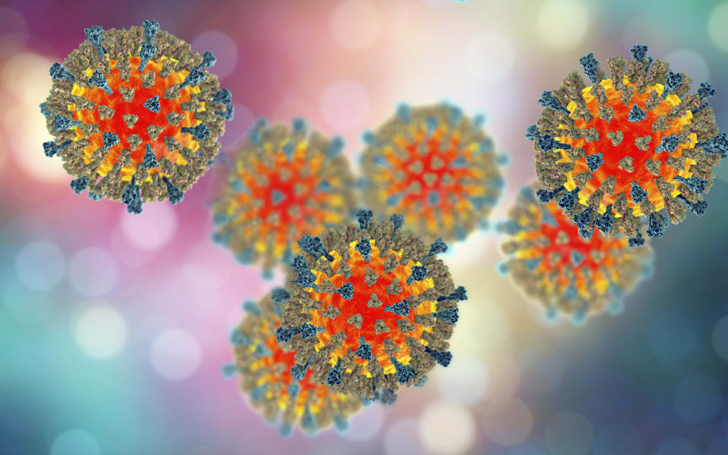 Sởi bùng phát ở New Zealand: Cảnh báo về virus chết người đang lây lan và những điều cần biết 2 Measles viruses. 3D illustration showing structure of measles virus with surface glycoprotein spikes heamagglutinin-neuraminidase and fusion protein.