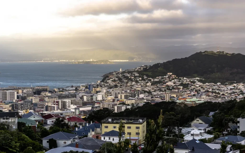 Wellington: Hồ chứa nước ngừng hoạt động khẩn cấp sau phát hiện thằn lằn nhỏ 1 No caption