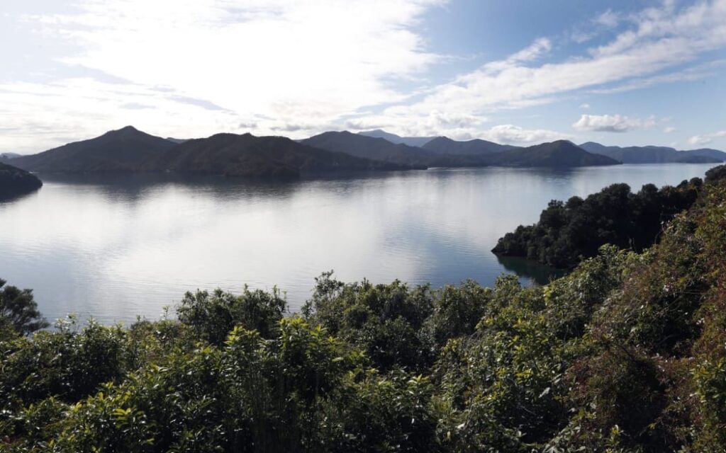 Tủ lạnh dầu hỏa phát nổ kinh hoàng, cụ ông tử vong tại nhà nghỉ Picton 1 Tennyson Inlet, in the Marlborough Sounds