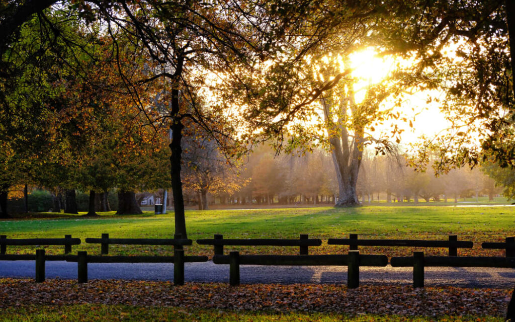 Siêu marathon lịch sử tại Christchurch: Vận động viên kiệt sức vẫn trầm trồ khen ngợi 1 Hagley Park, Christchurch.